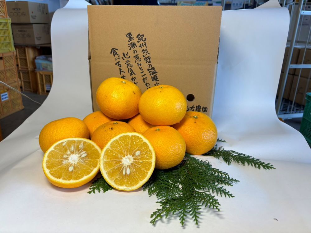 Amanatsu (Japanese citrus) Image