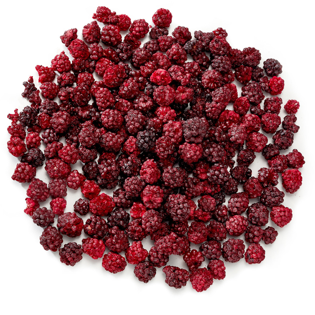 Freeze Dried Blackberry Image