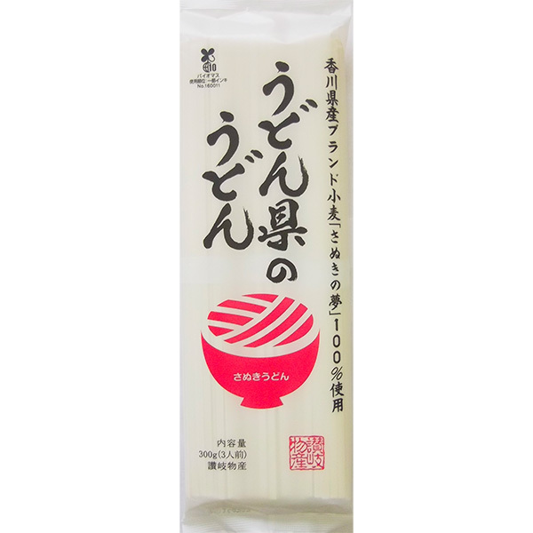 Udon Noodles from Udon Prefecture Image