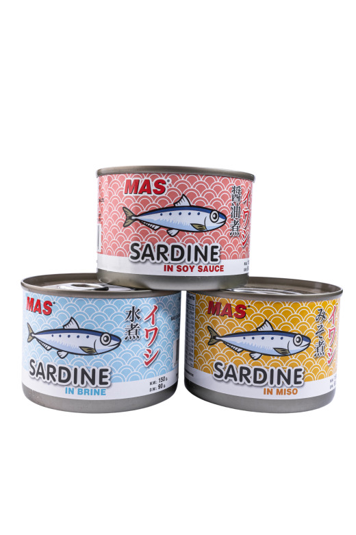 Canned iwashi(Sardine) Image
