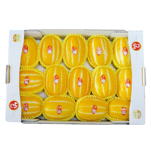 ORIENTAL MELON Image