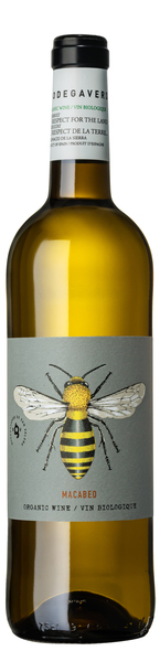 ボデガ・ヴェルデ　マカベオ Image