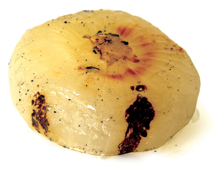 Grilled Borettane Onions Image