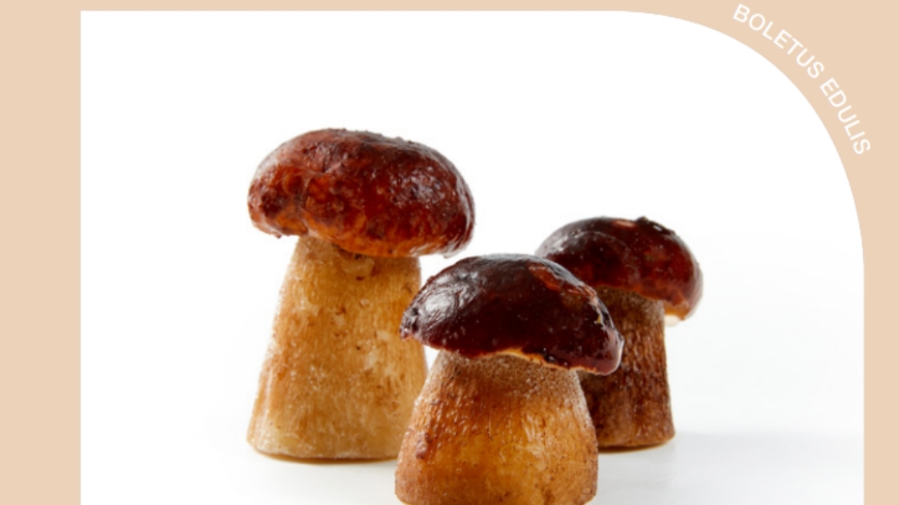 ポルチーニ茸 Image