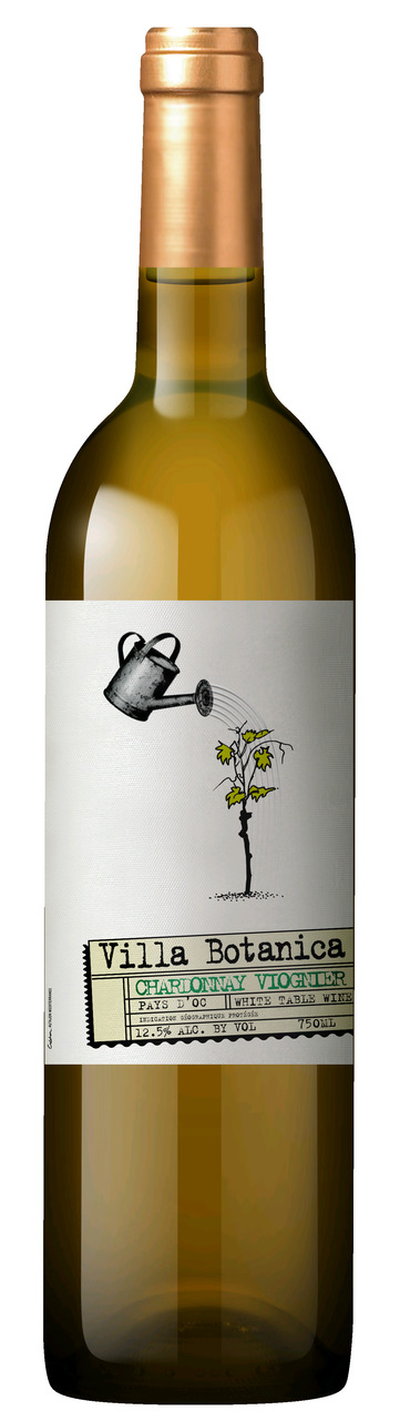 VILLA BOTANICA 2025 IGP PAYS D'OC, white wine Image