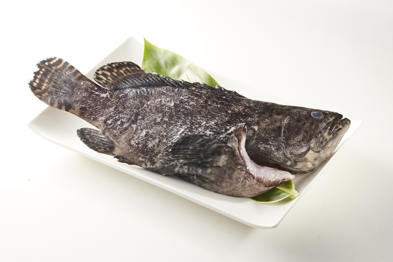 冷凍タマカイ（パールグルーパー）GGS / 皮付きフィレ Image