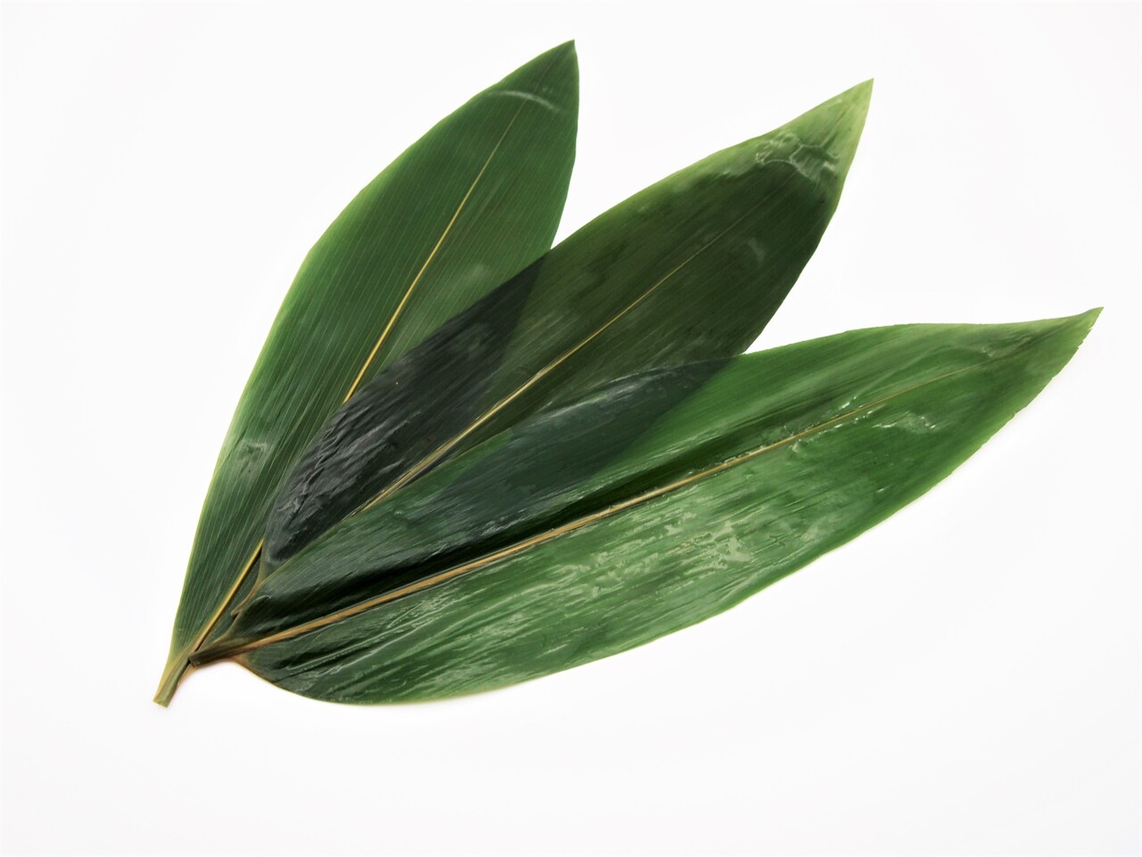 常温商品 イメージ