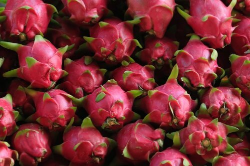 Dragon Fruit Image