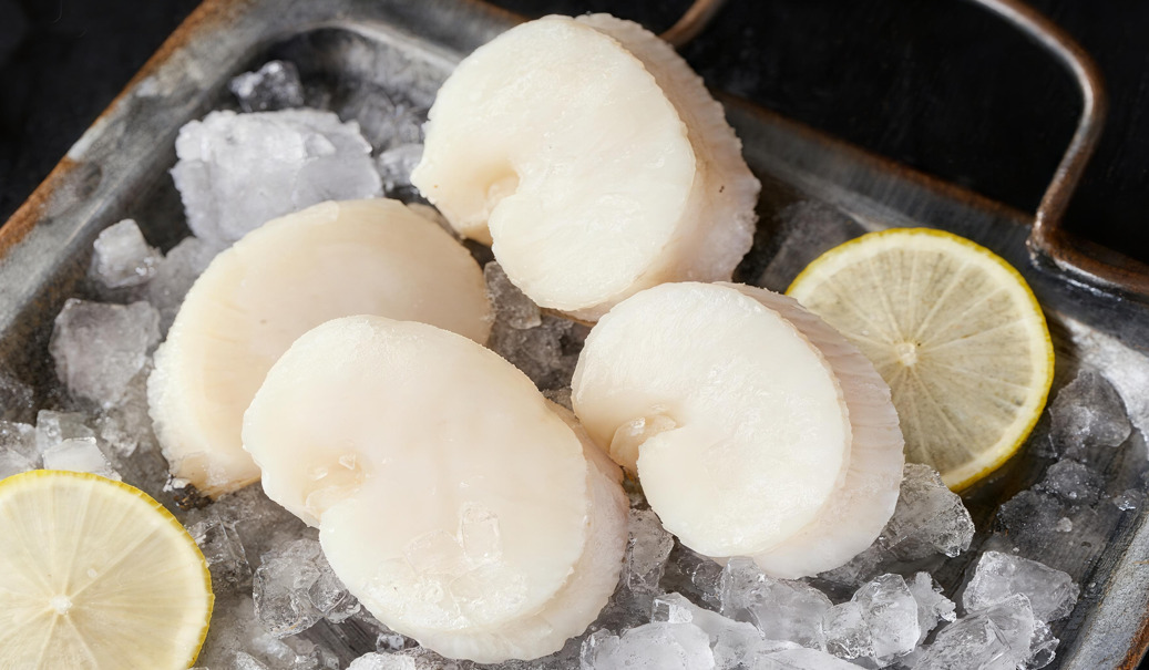 Frozen half shell scallop（Roe Off）/Bay Scallop/Penshell Scallop Meat/Scallop Meat With lip Image