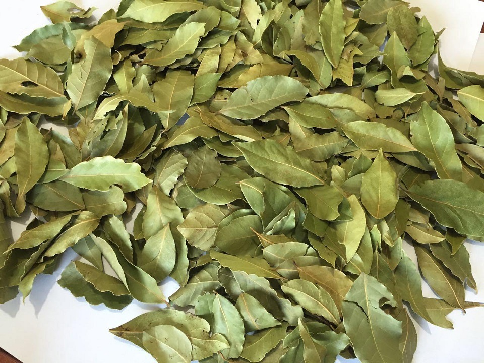 Dried bay leaves Image