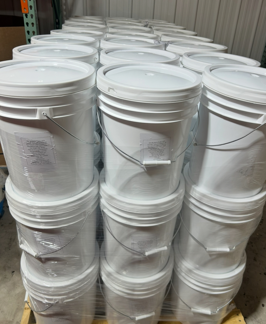 Wild Blueberry Puree Image