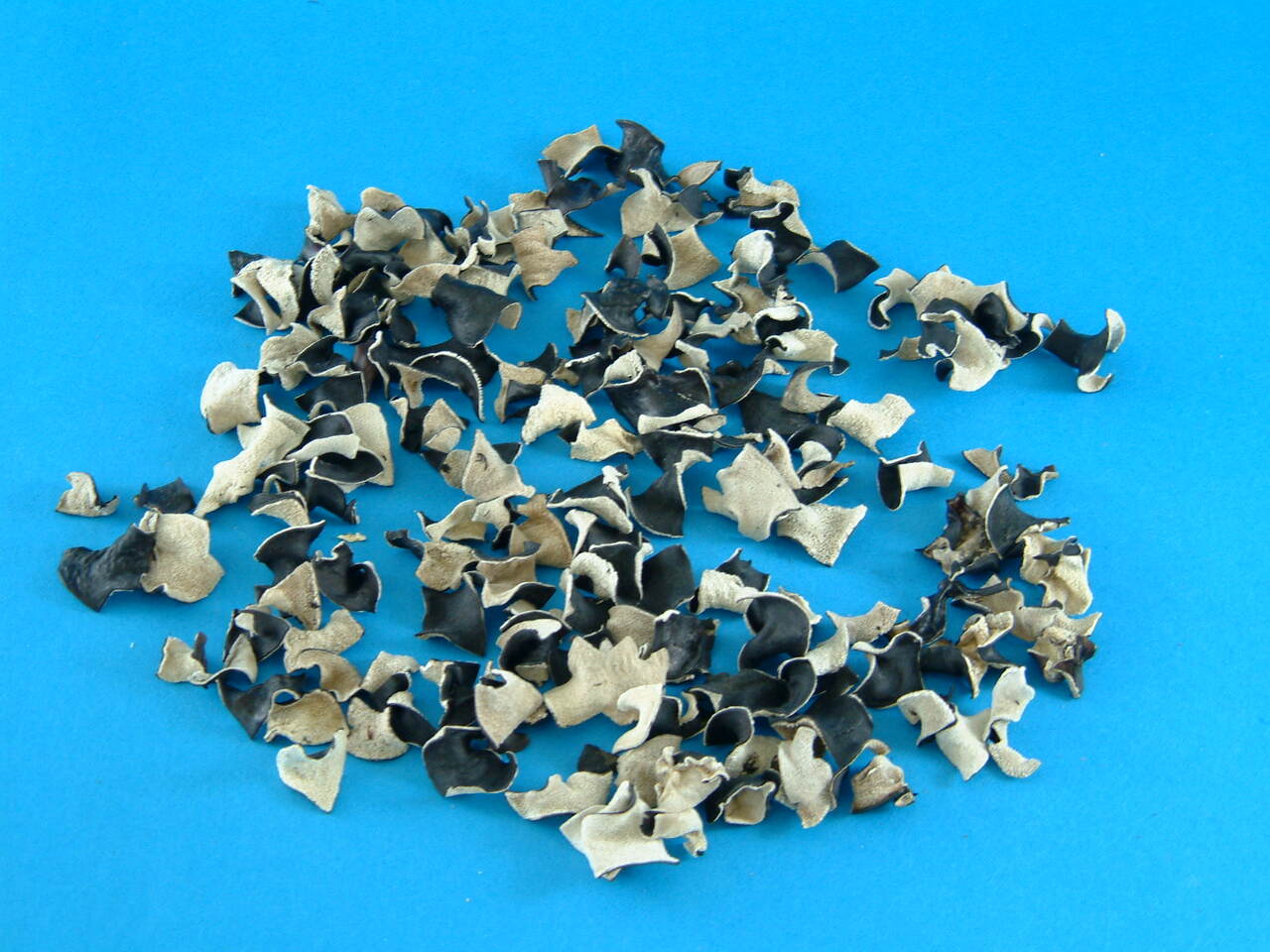 業務用　海陸産乾物製品 イメージ