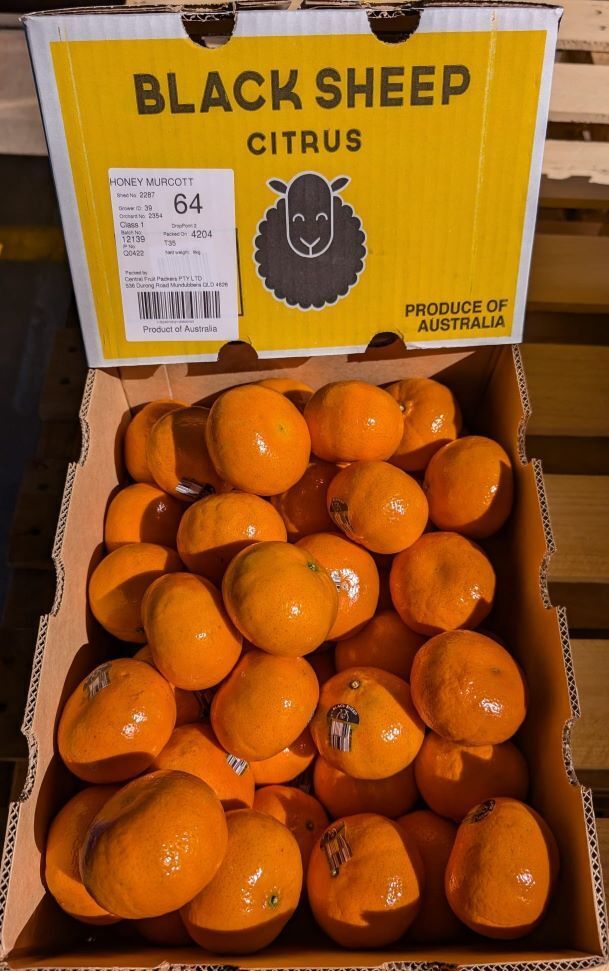 Australian Citrus (Mandarin - Murcott/Affourer), Lemons, Oranges イメージ