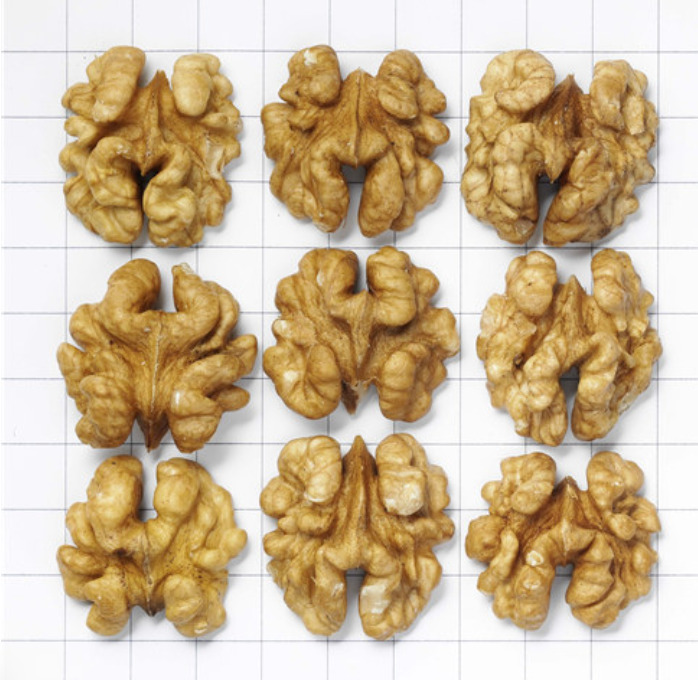 Organic Light Halves Image