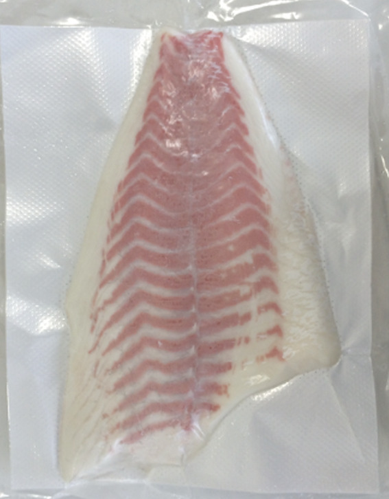 FROZEN Red sea bream FILLET Image