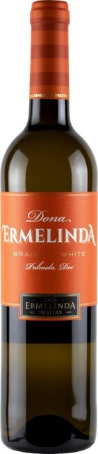 Dona Ermelinda Branco イメージ