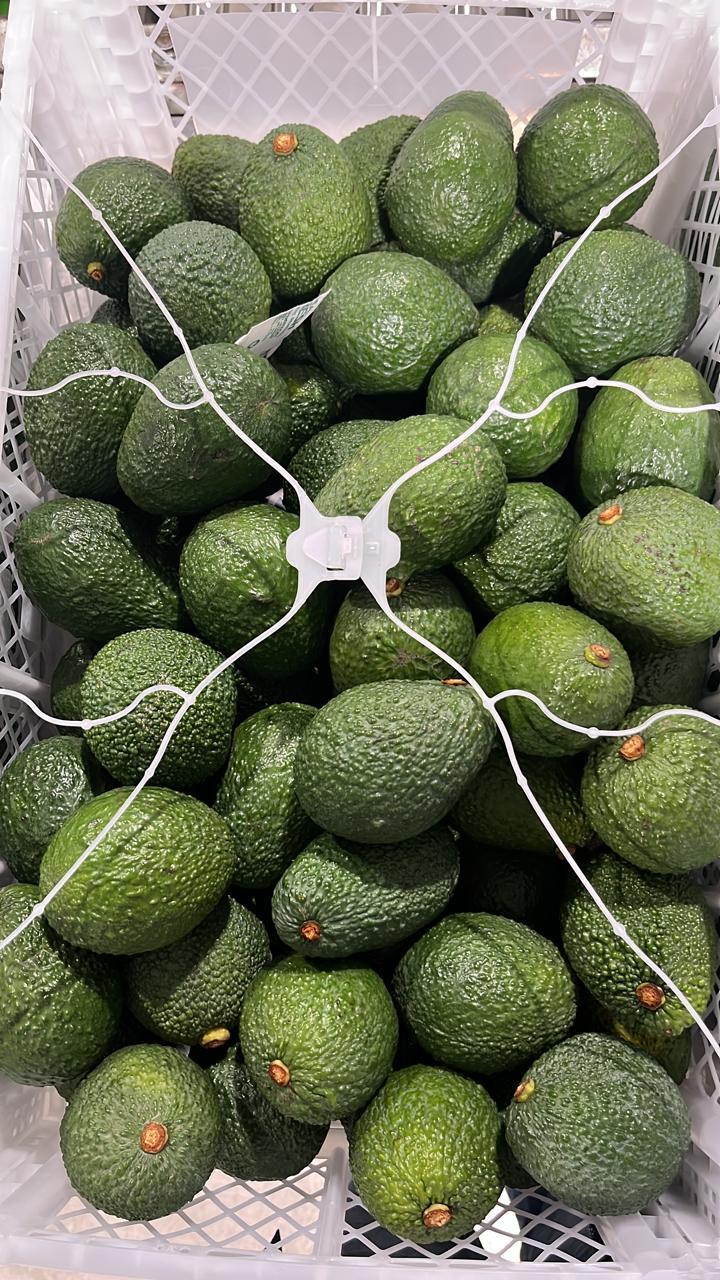 CAMPO VERDE - Fresh avocado and mandarin Image