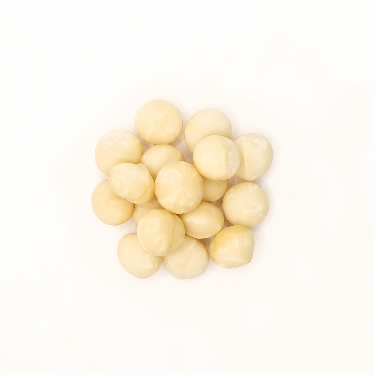 Bulk  Macadamia Raw Kernel Image