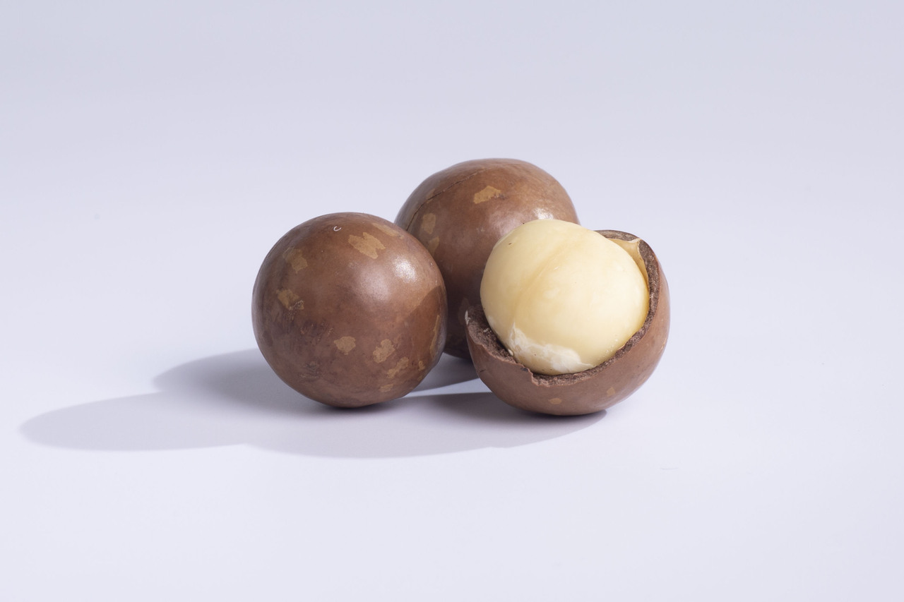 Roasted Macadamia Nuts In Shell Image