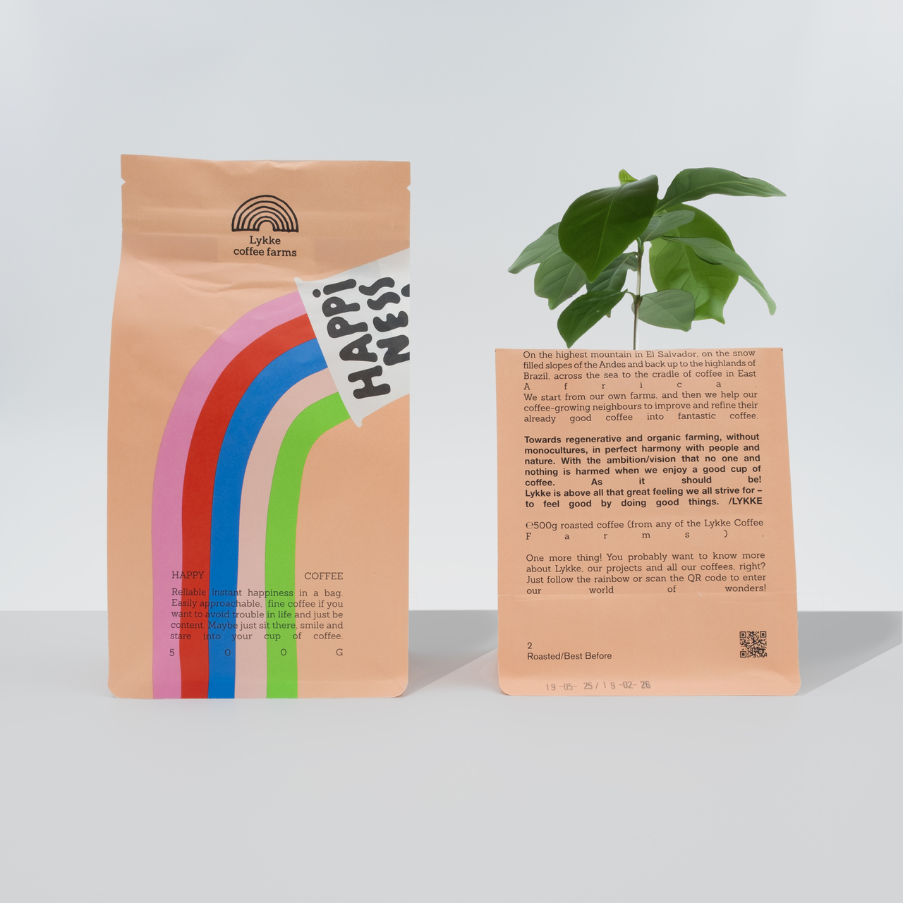 HAPPINESS Filter coffee Image