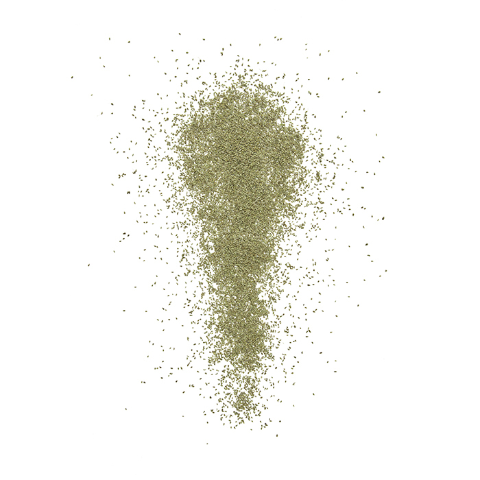ANISE SEED Image