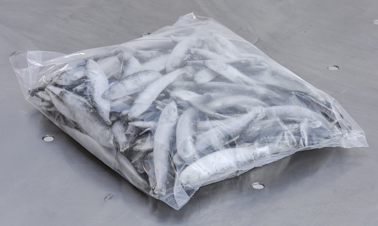 IQF Baltic herring Image