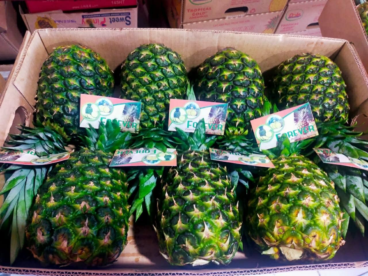 FRESH PINEAPPLE Image