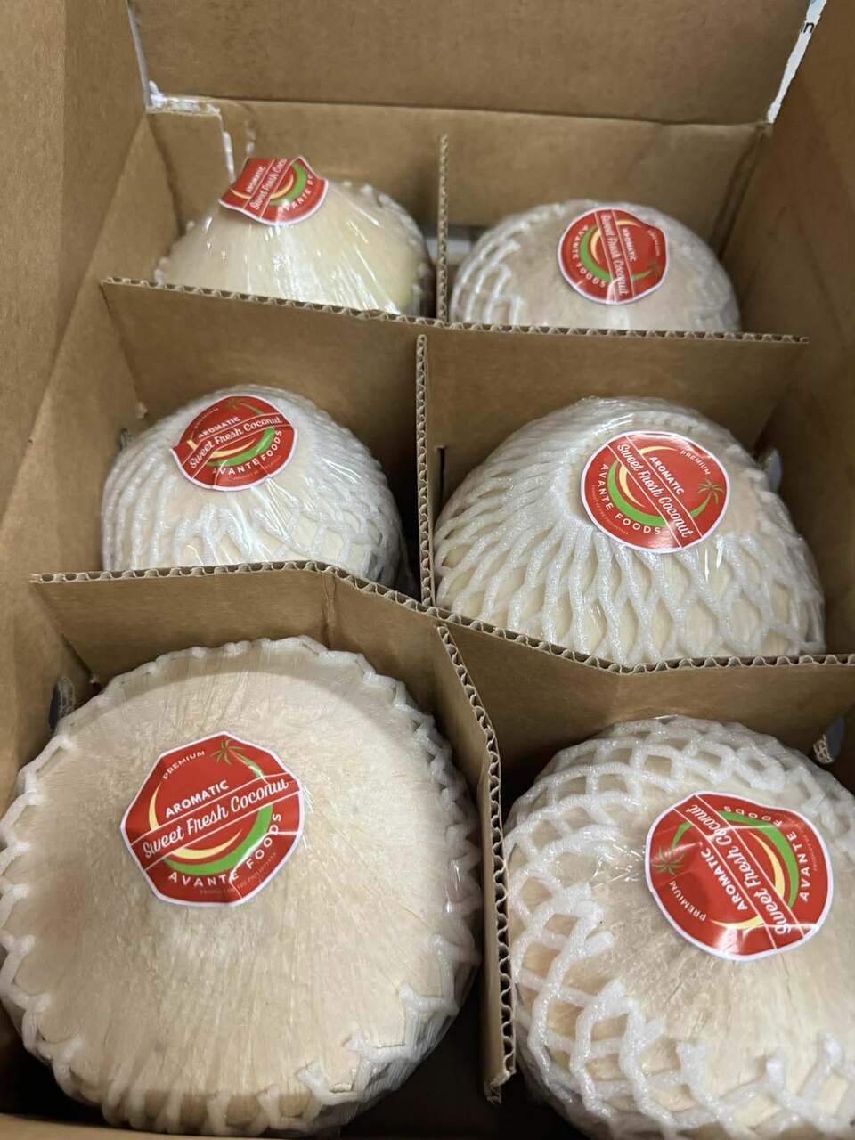 FRESH YOUNG COCONUT Image