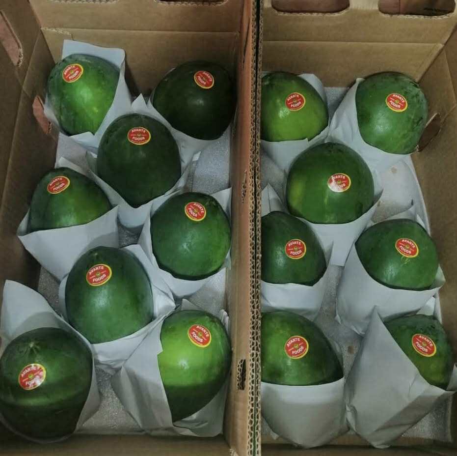 FRESH SOLO PAPAYA Image