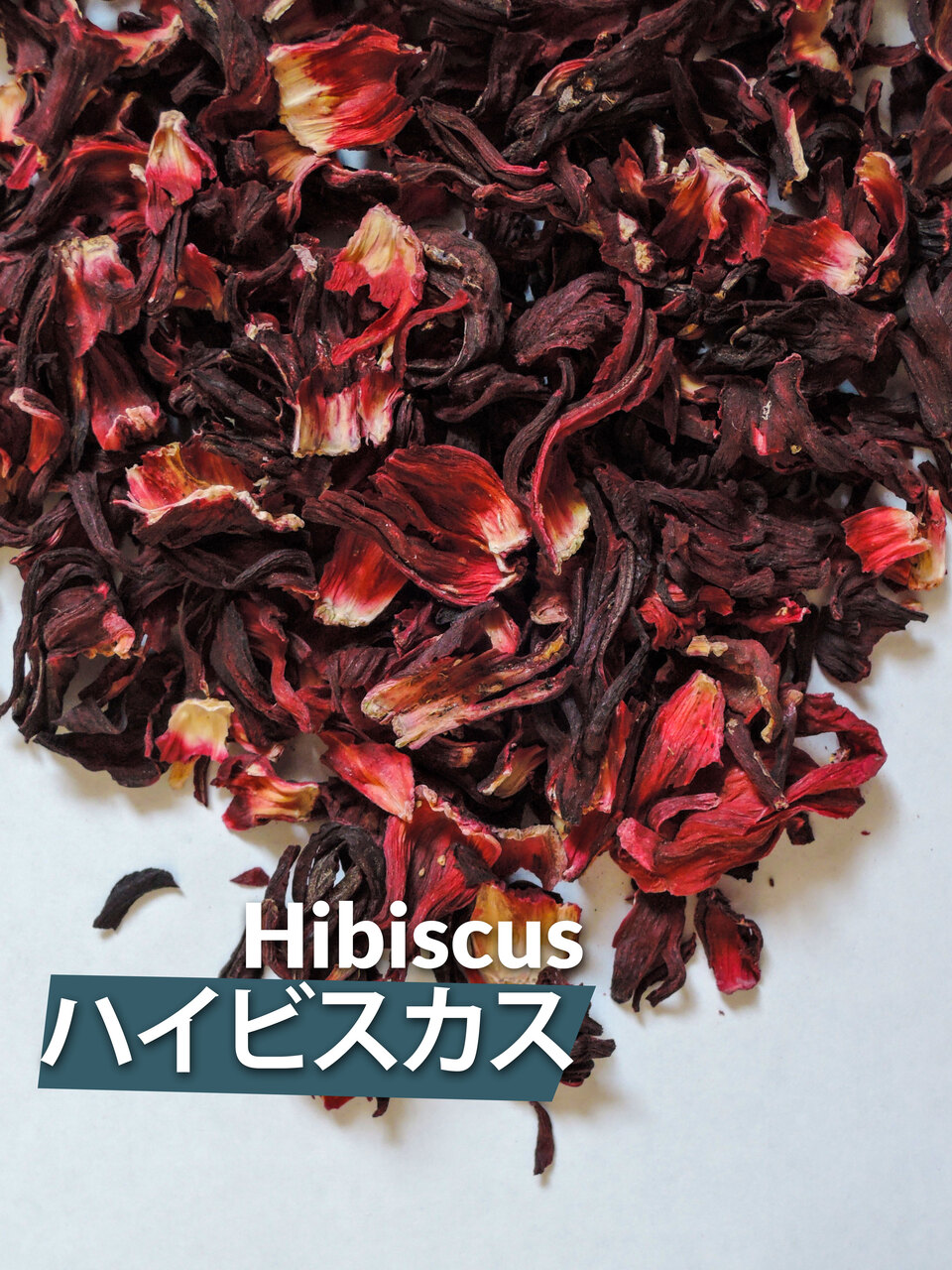 Hibiscus Image