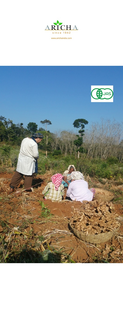 Organic spices Image