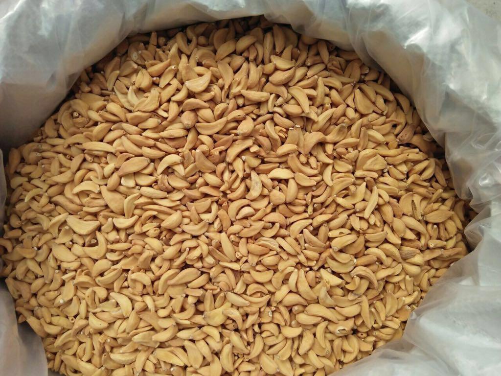 DEHYDRATED GARLIC Image