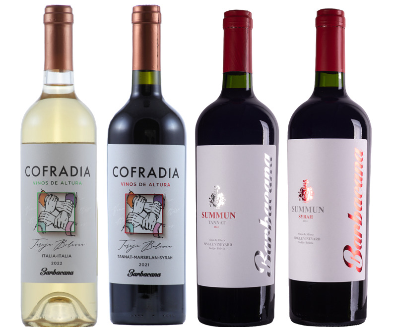 【ワイン】バルバカーナ　BARBACANA イメージ