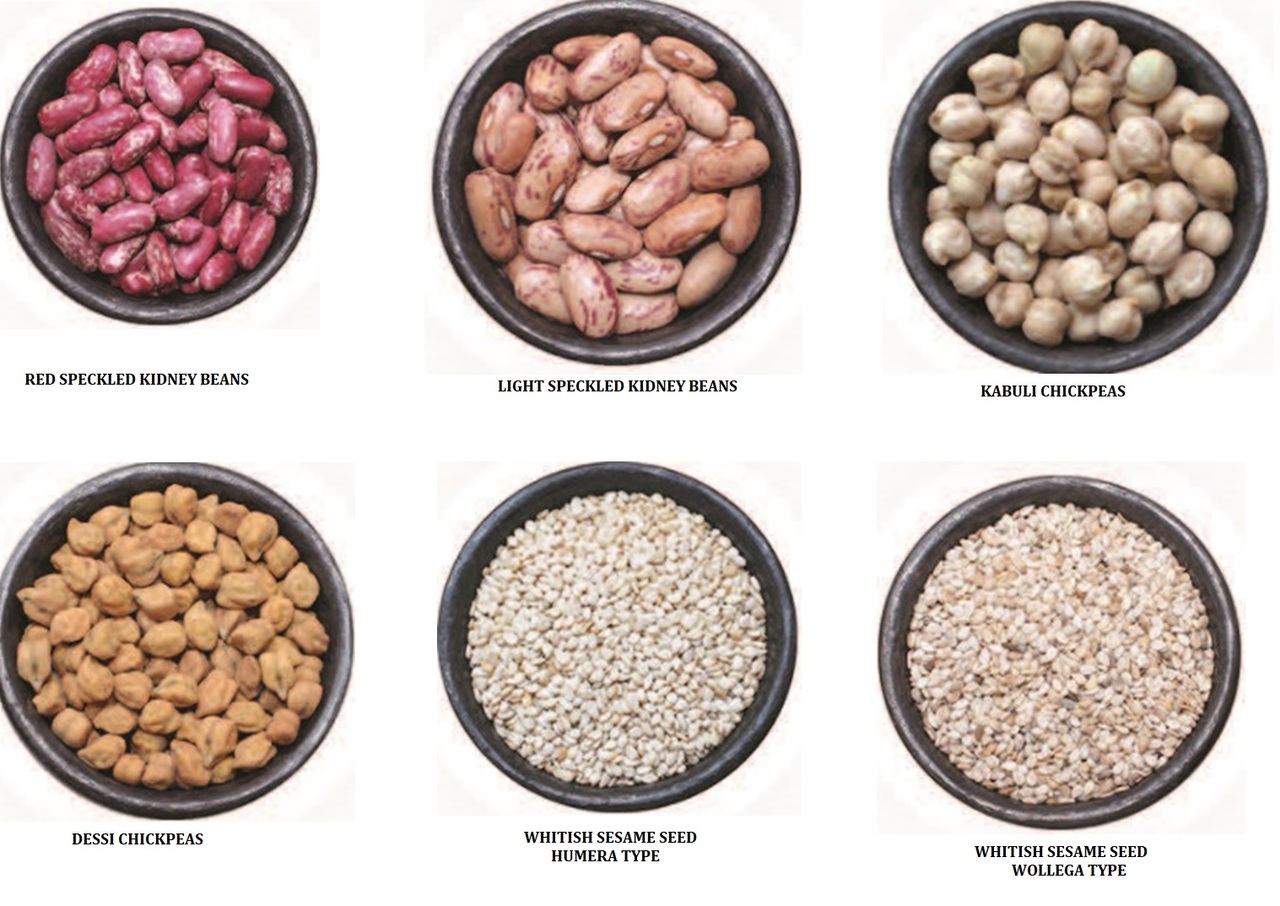 Ethiopian origin Agricultural Commodities pulses, oil seeds and Spices Image