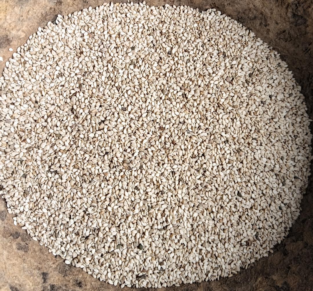 Sesame Seed (Brown & Black) Image