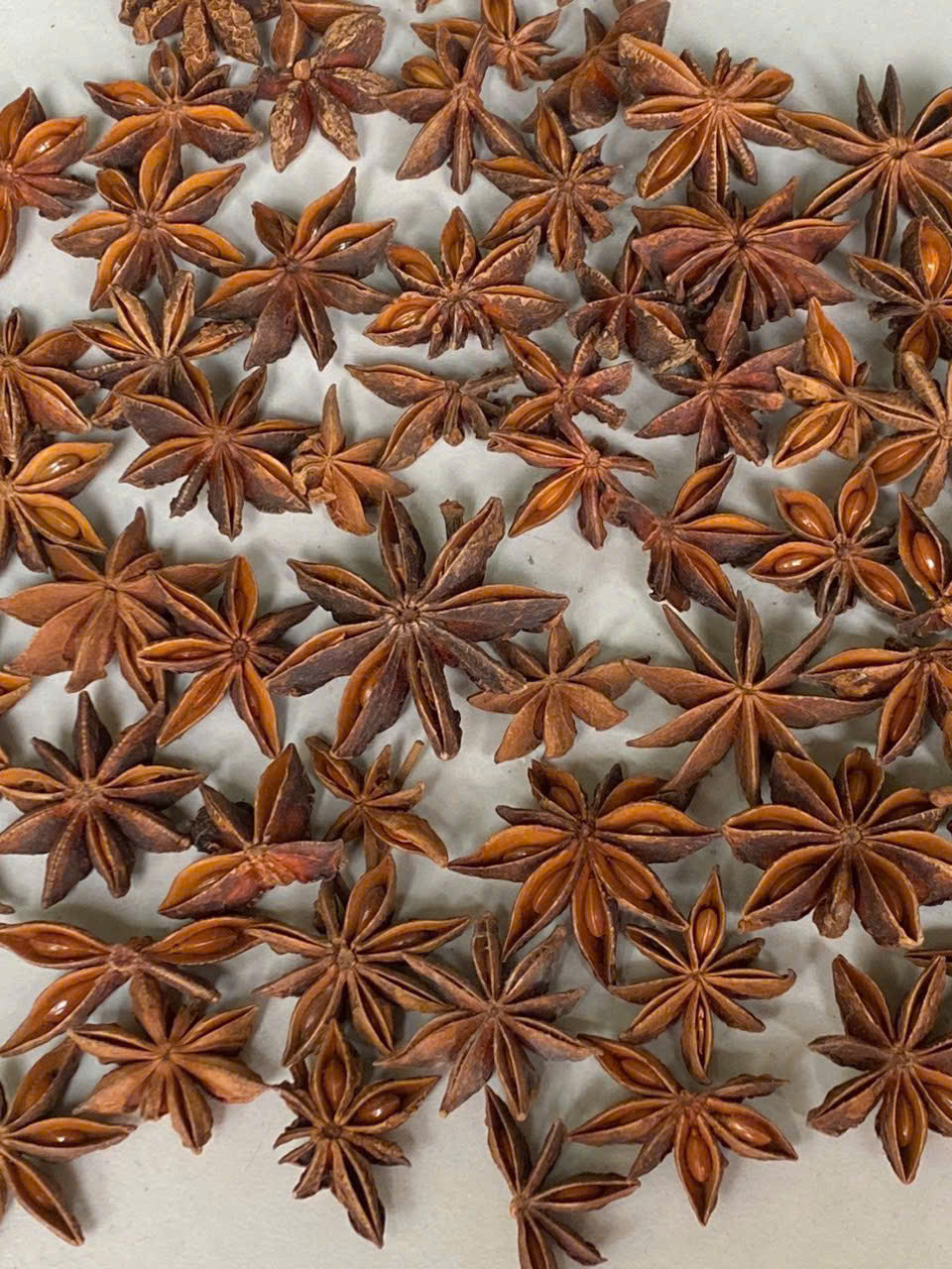 Star Anise  Image
