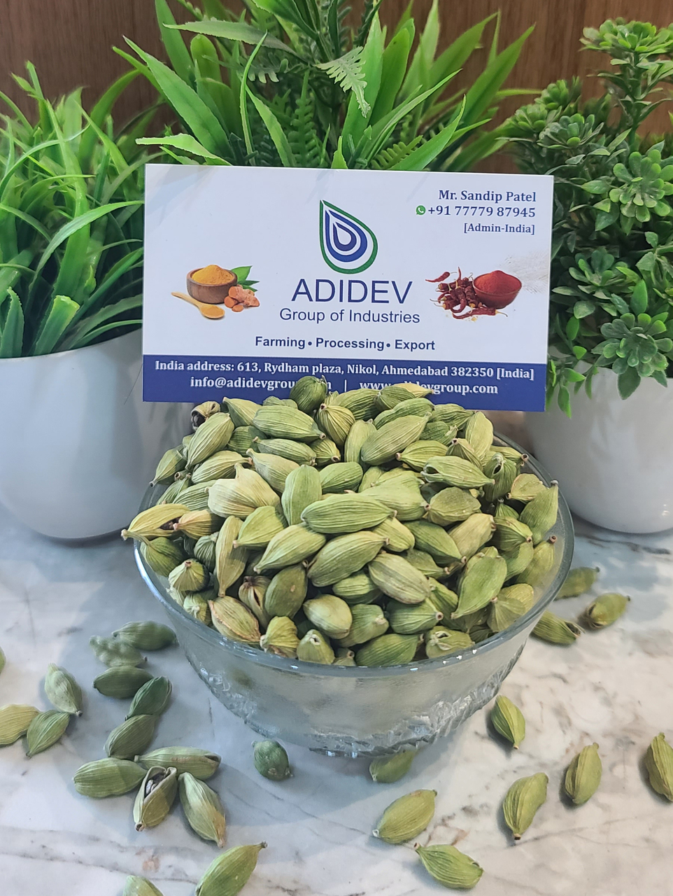 Organic Green Cardamom Image