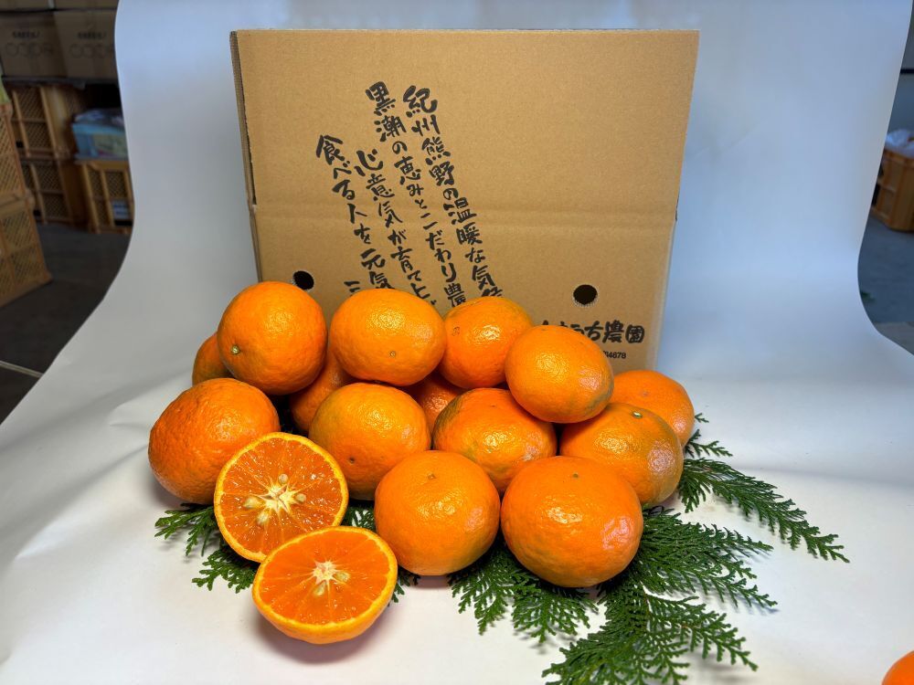 Karamandarin Orange Image