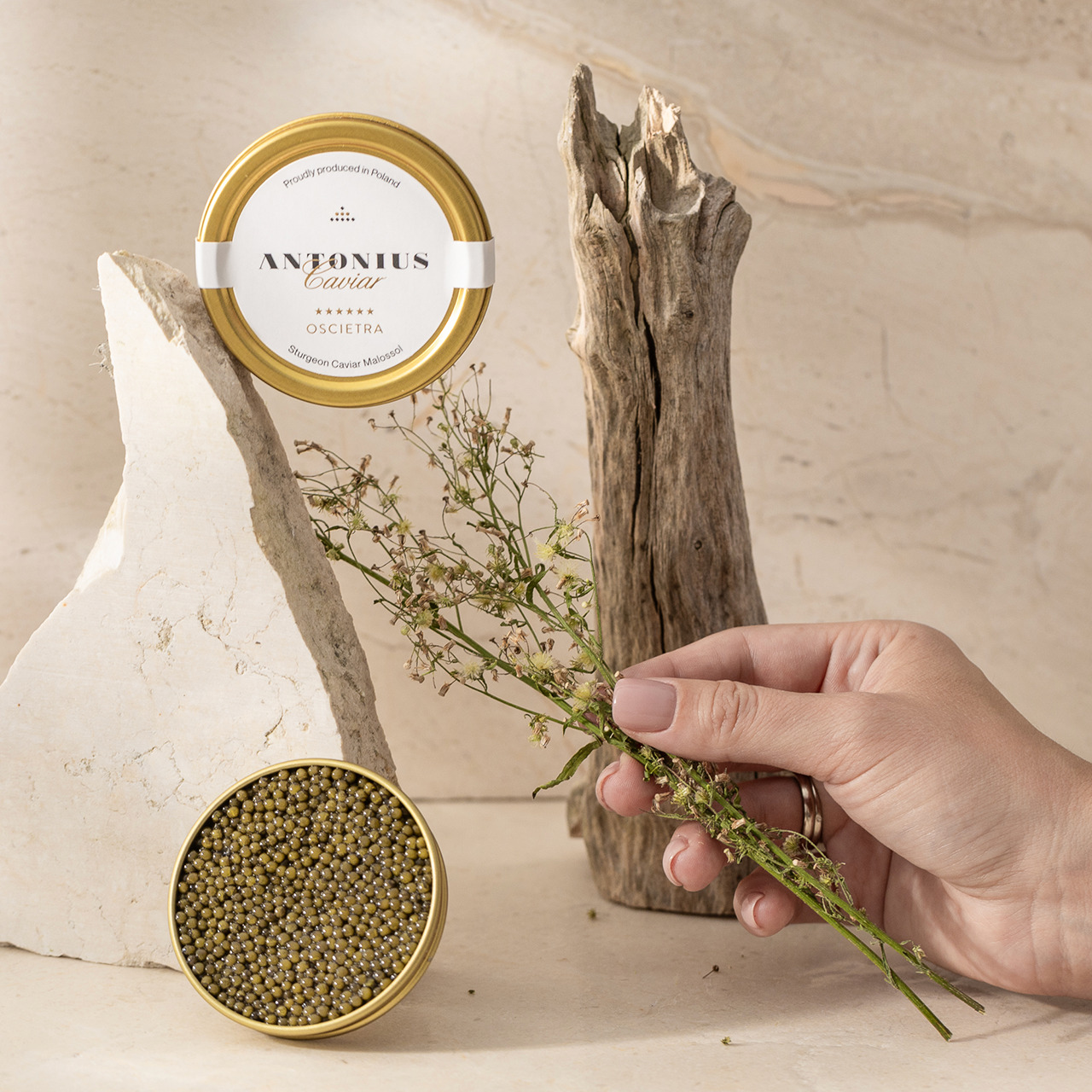 Antonius Caviar Oscietra - fresh unpasteurized caviar from Russian sturgeon (Acipenser gueldenstaedtii) Image