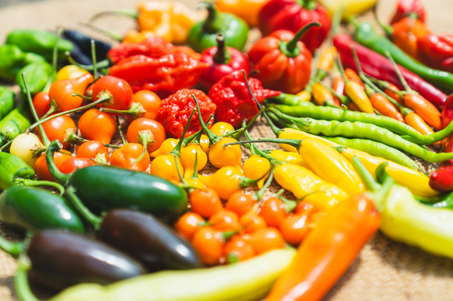 とうがらし（青果　唐辛子） Image