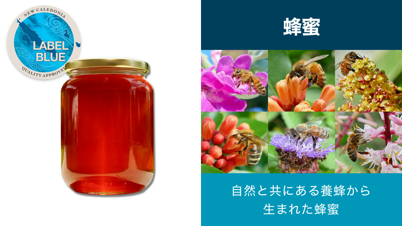 蜂蜜｜ニューカレドニア産 イメージ