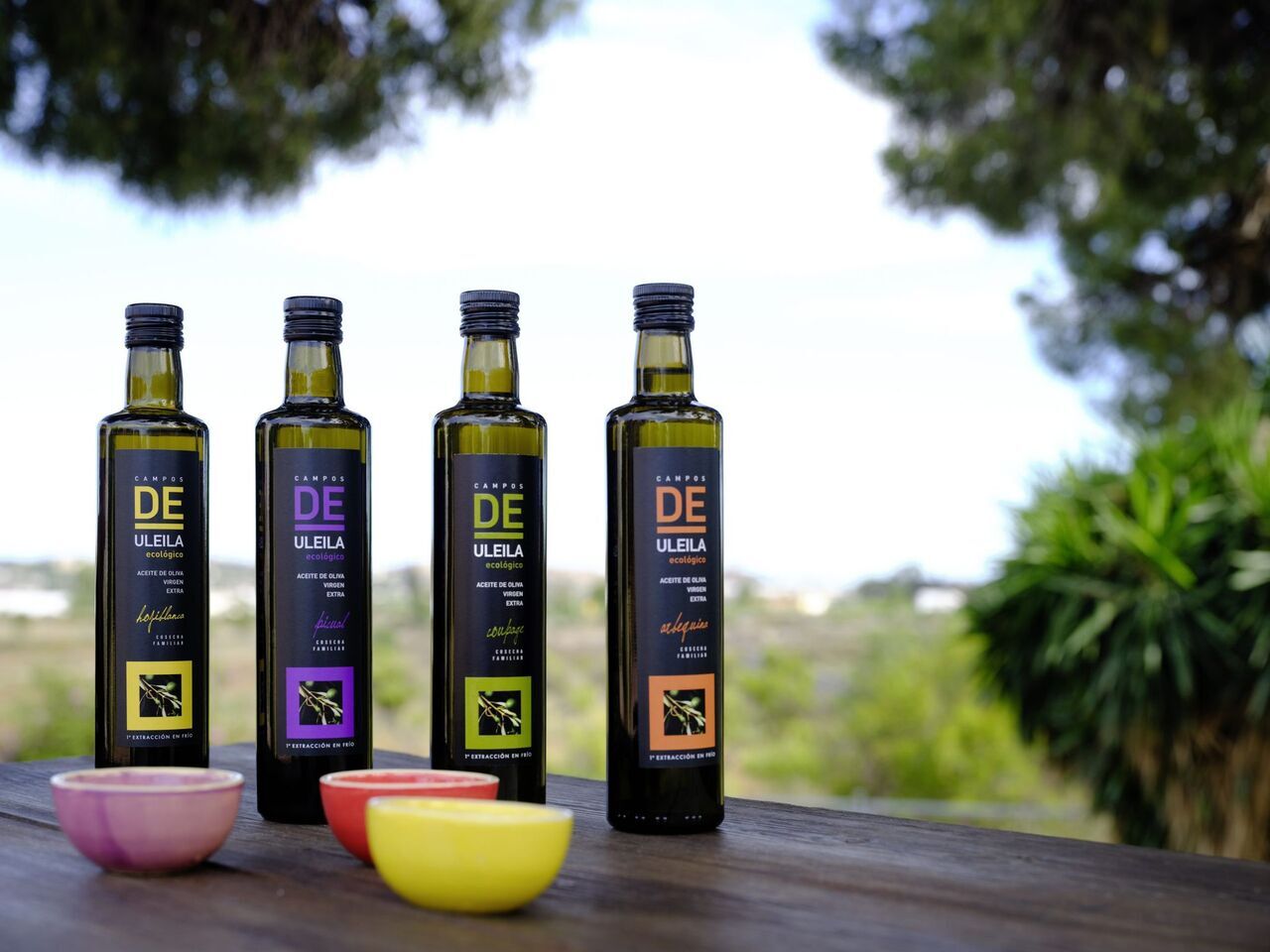 Campos de Uleila Image