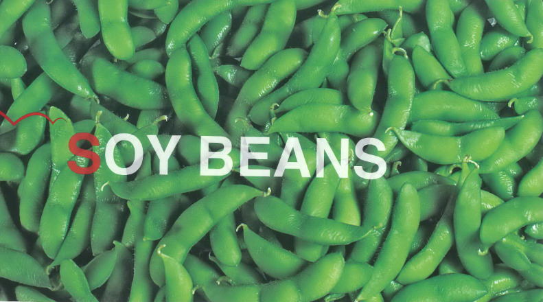 Frozen Vegetables Image