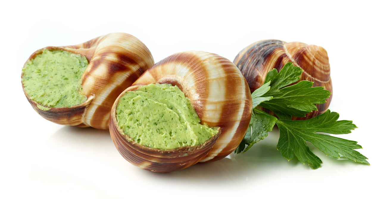 Cooked prepared frozen snails Image
