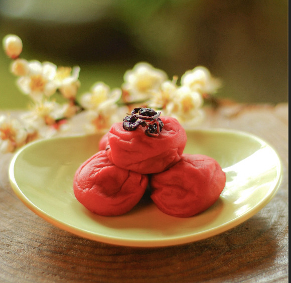 南高むかし梅干 イメージ