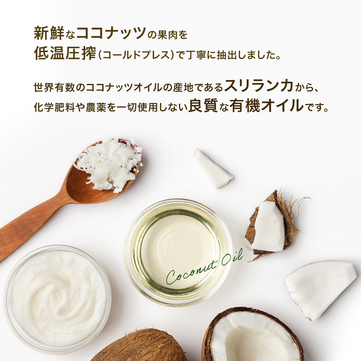 ココナッツ食品シリーズ Image