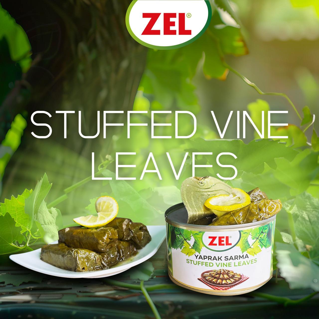 Stuffed Vineleaves with Olive Oil Image