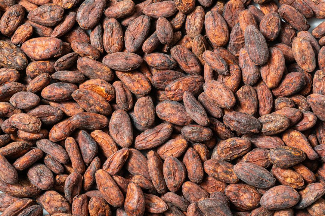 Cocoa Beans Image