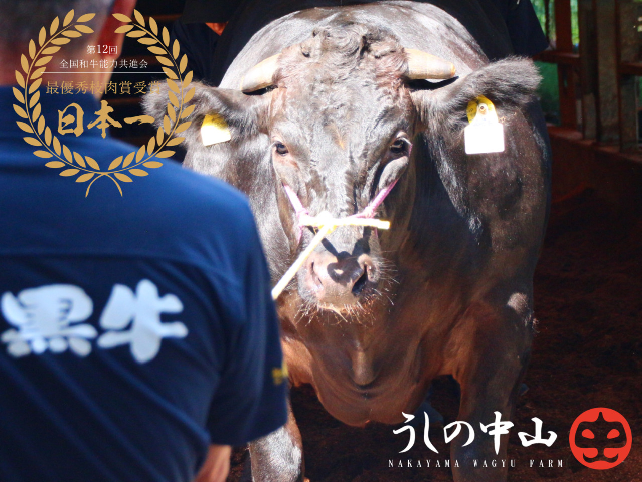 うしの中山和牛 イメージ
