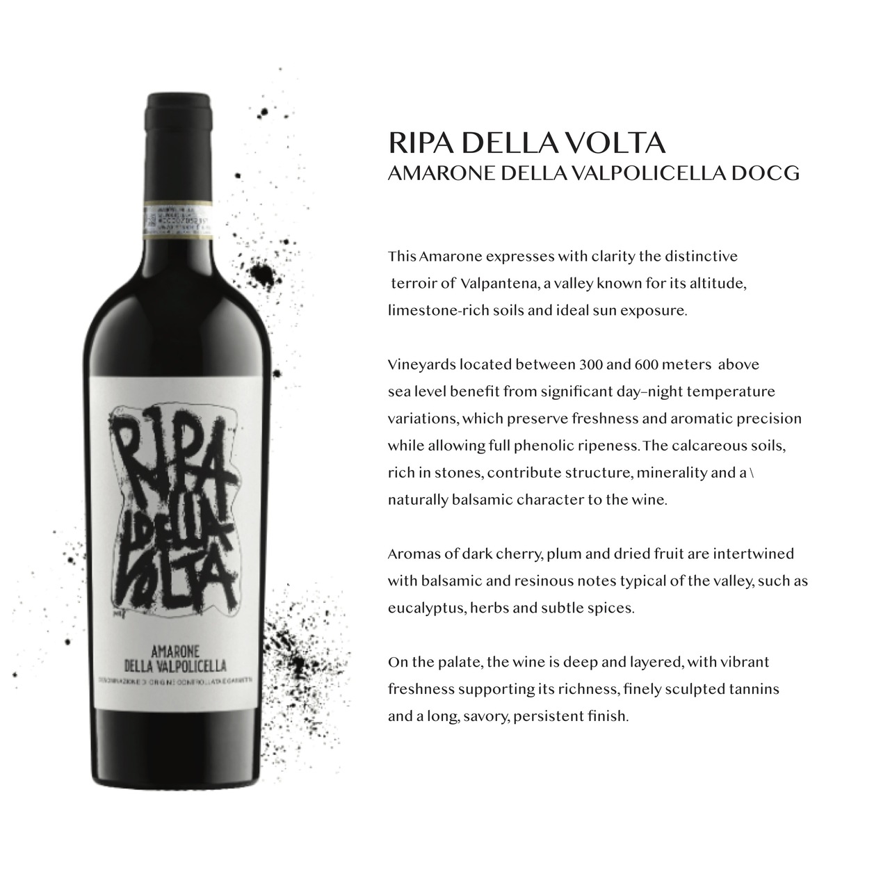 Ripa della Volta Amarone della Valpolicella DOCG  Image